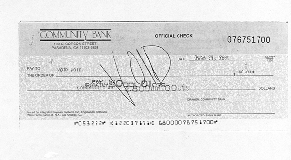 how to write a void check how to write a void check
