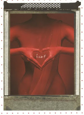 This Finch Paper catalog shoot