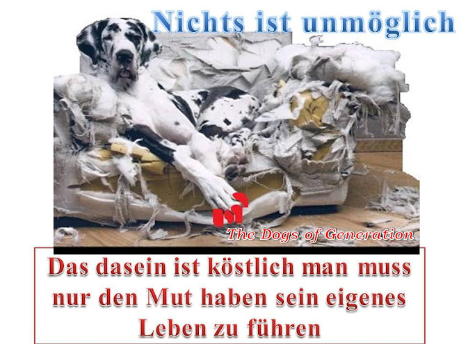 allesrund um den Hund