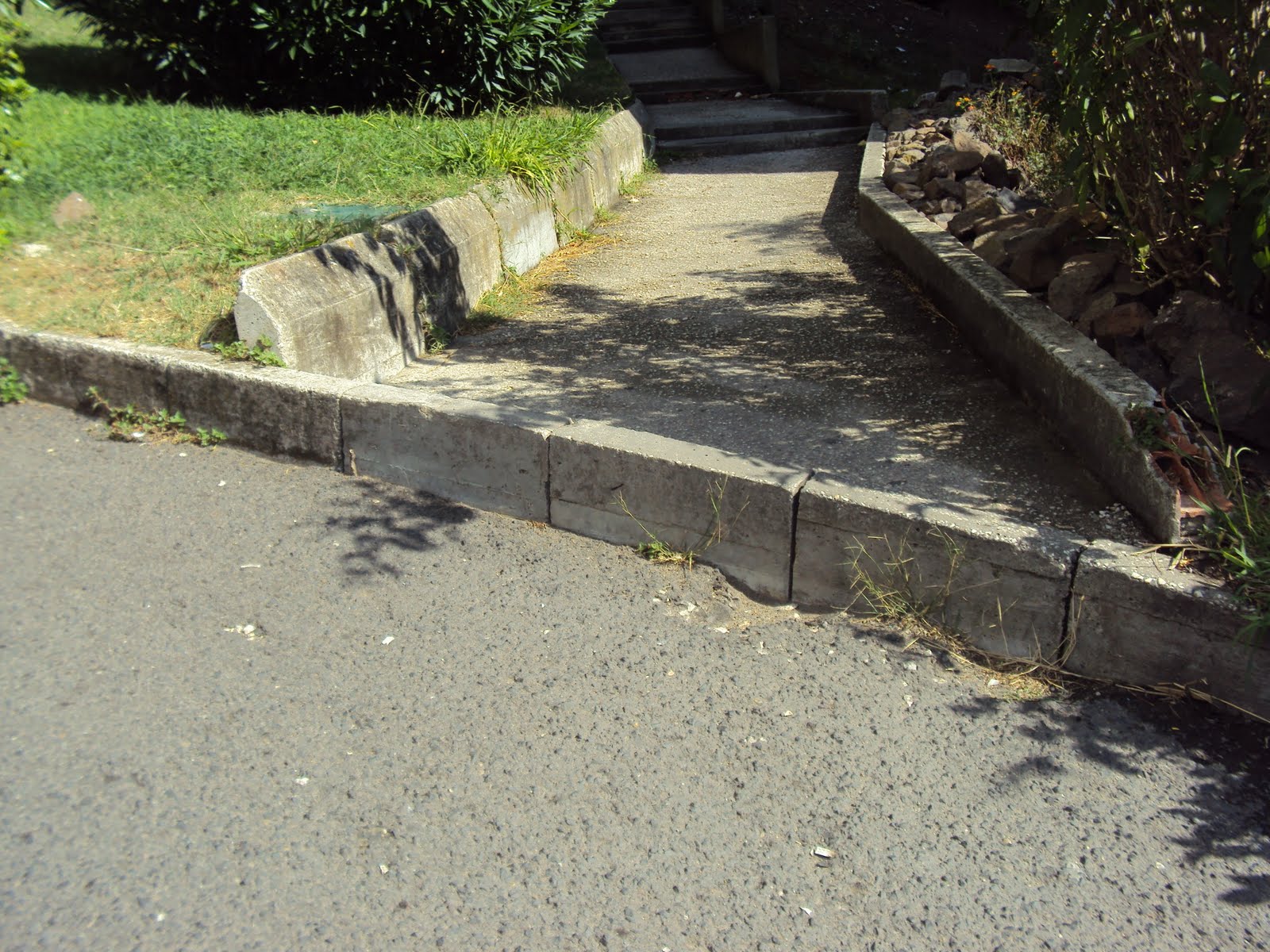 [DSC00170.JPG]