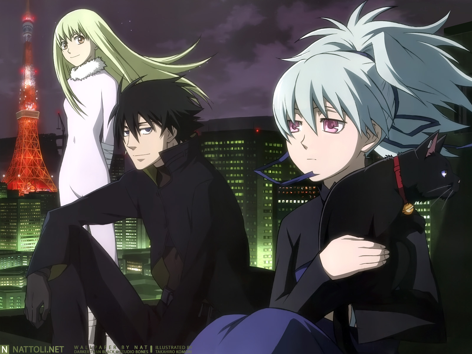 FLAMES Anime Darker than Black