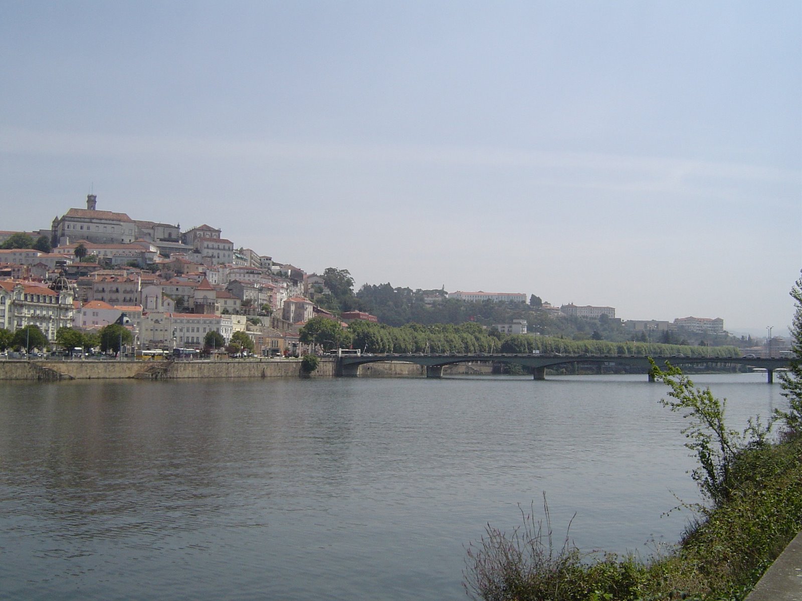 [DSC01429.JPG]