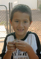 Trey's horny toad