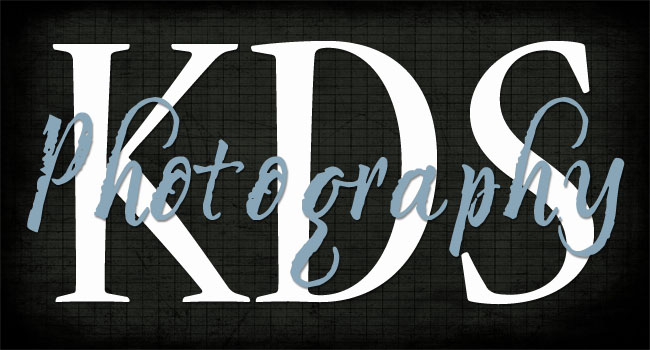 Kari Despain Stewart's photoblog documenting her adventures in photography
