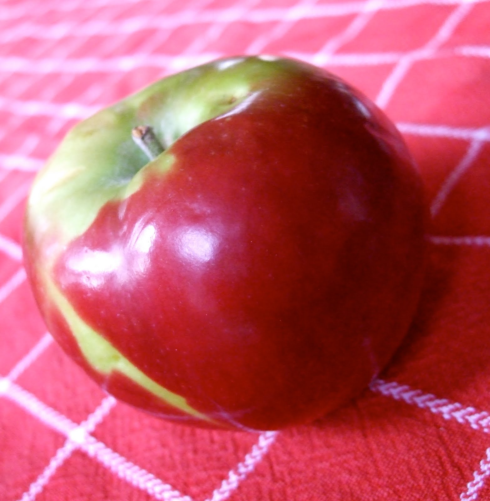 [DSCF8151.JPG]
