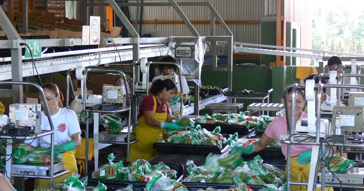 Tamarindo, Costa Rica Daily Photo Banana processing plant