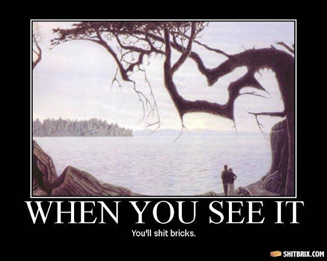 the-lake-and-the-tree-8651.jpg