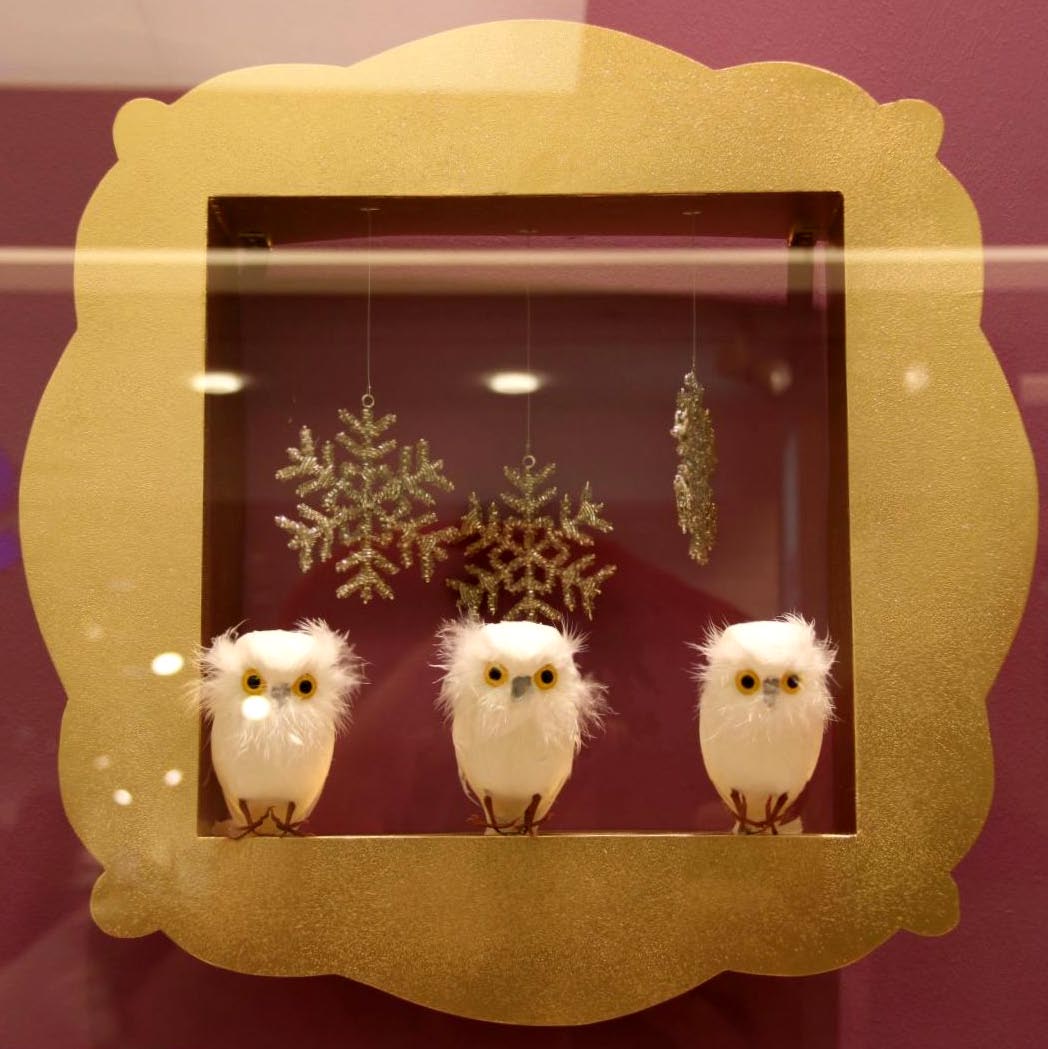 [3º+Domingo+do+Advento+-Dritter+Advent.JPG]