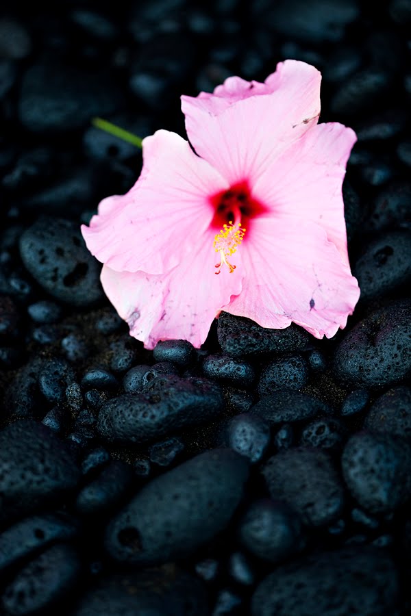 [lava01web.jpg]