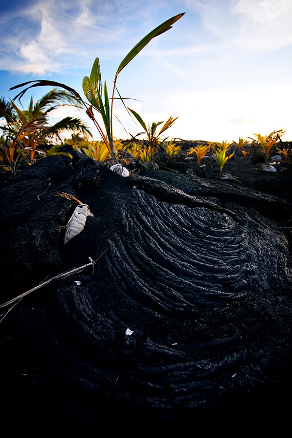 [lavafield02web.jpg]