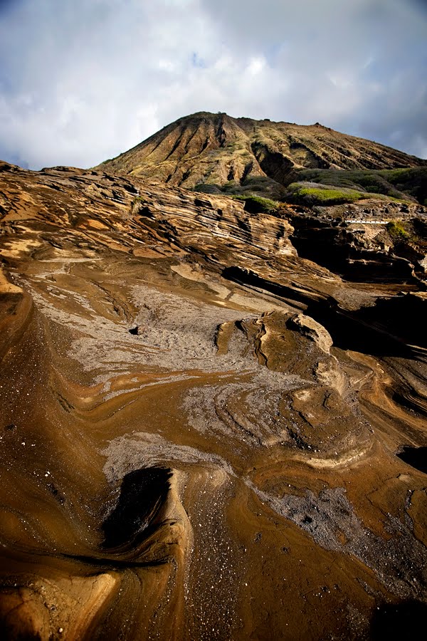 [Kokohead04web.jpg]
