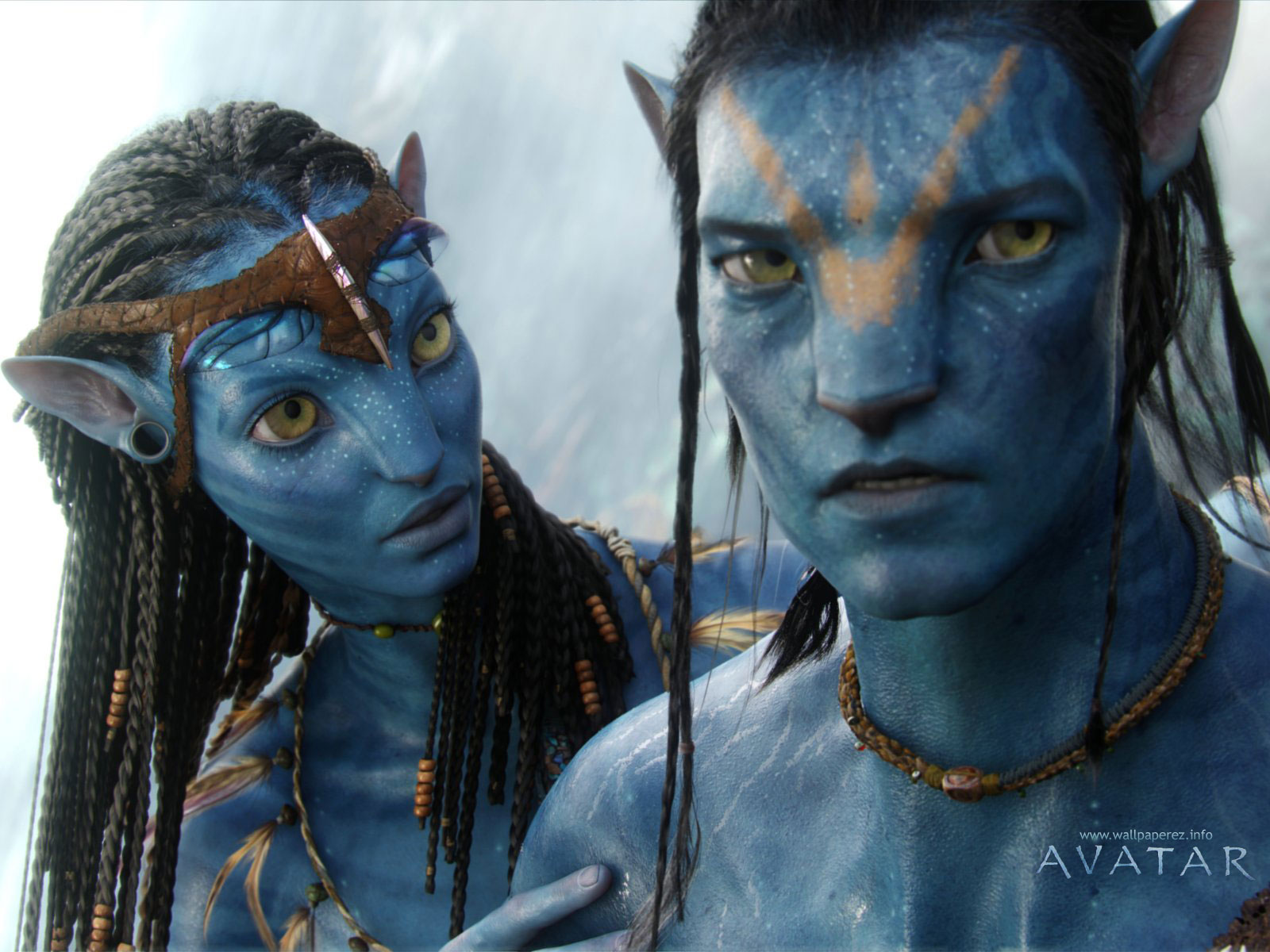 http://2.bp.blogspot.com/_rMQI7NcIzSs/S75y1r9bDnI/AAAAAAAABf8/2-uQBxV9KEI/s1600/Avatar-wallpaper-2000.jpg