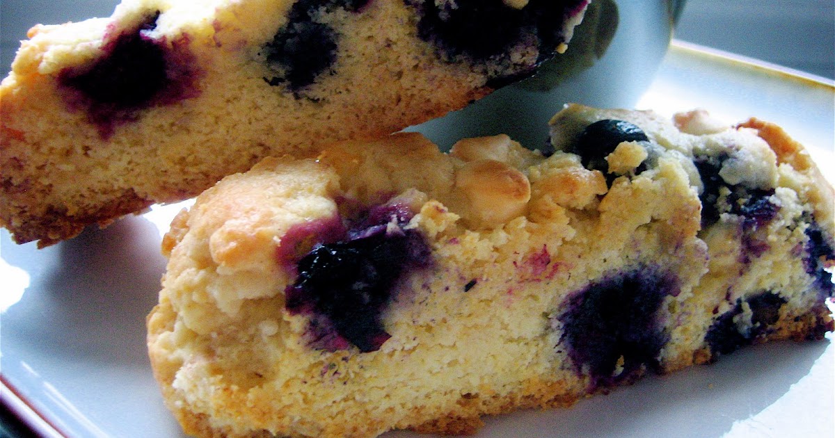 Stephanie Cooks Blueberry and White Chocolate Biscotti