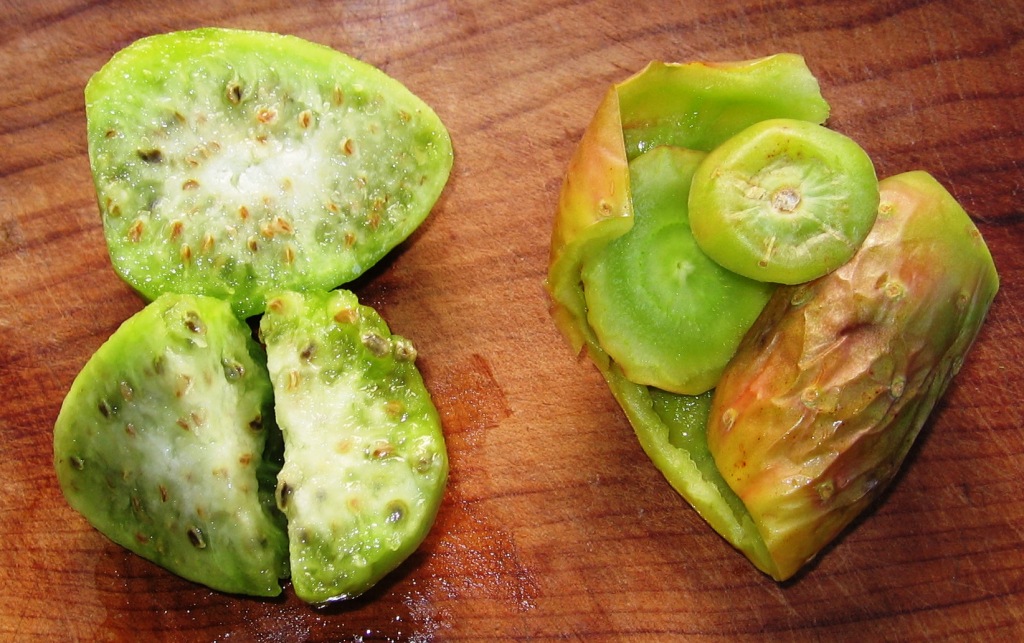 18+ Fruta Tunas De Nopal Images