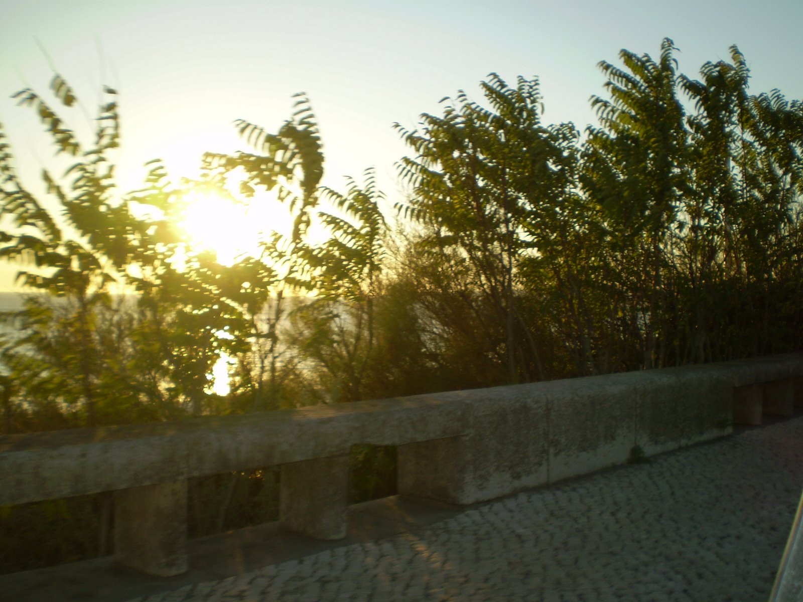 [P9290055.JPG]