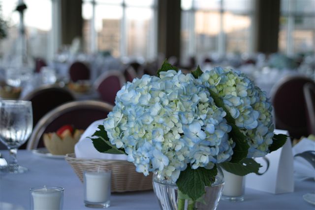 The centerpieces were simple yet elegant When working on a budget I think 