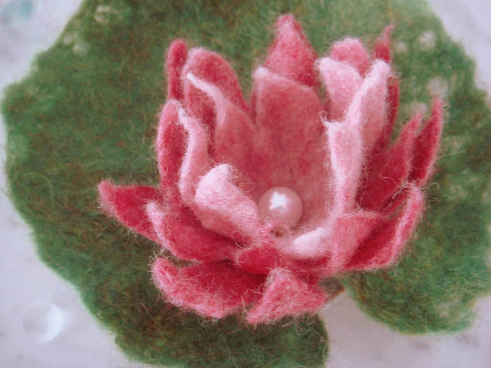 filzhandart Seerose, Wasserrose, Zauberpflanze