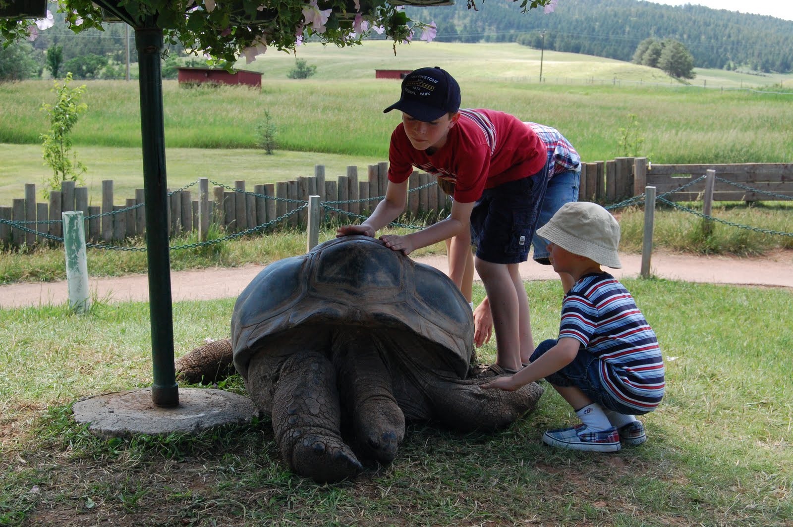 A Homegrown Life On The Road Reptile Gardens In Sd