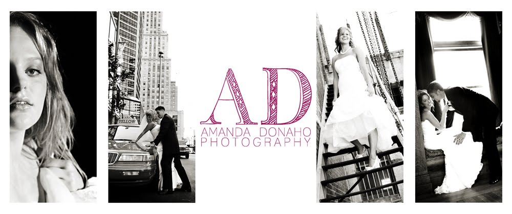 Amanda Donaho Photography: 3 (Pregnant) Women & a Photographer