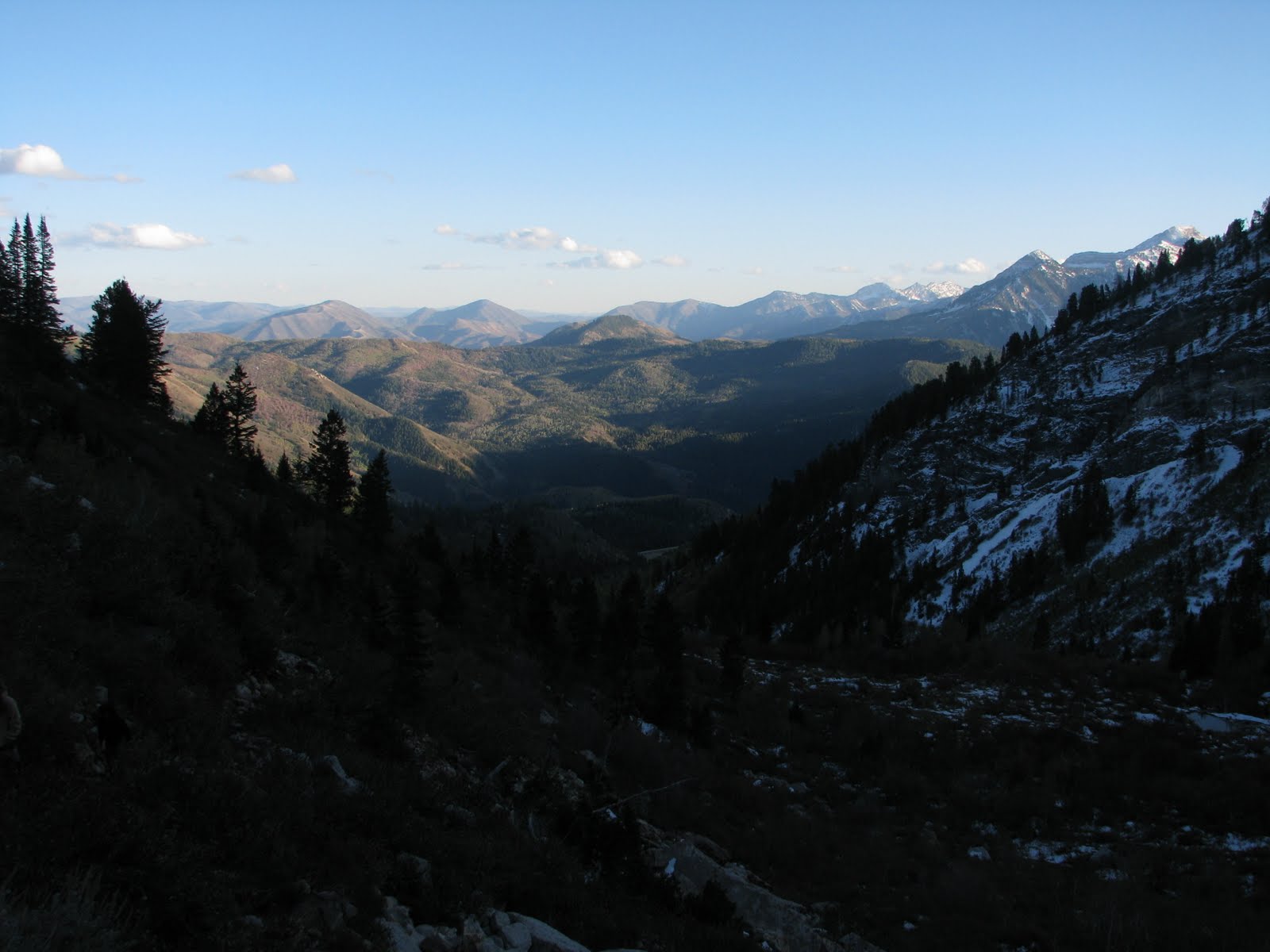 [IMG_7663.JPG]