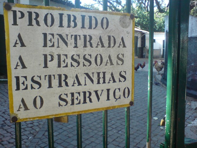 [Galinhas.JPG]