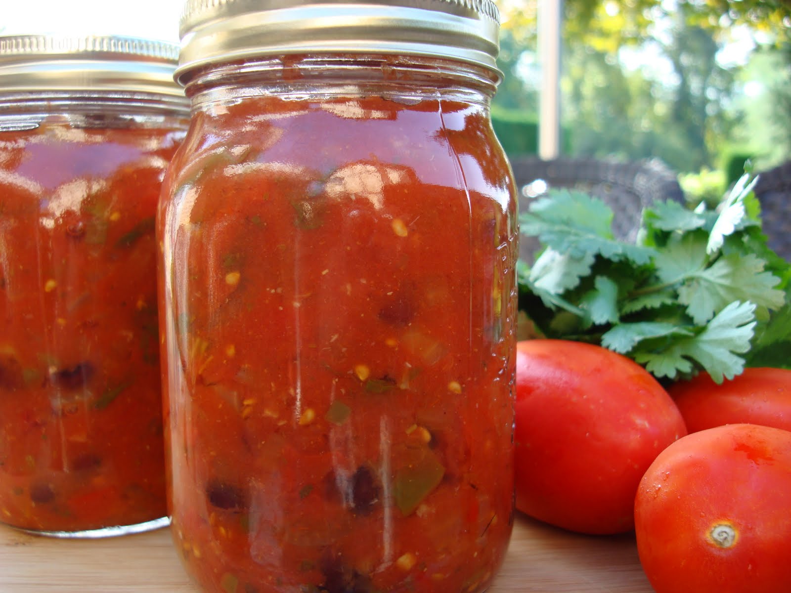 Mennonite Girls Can Cook Canned Tomato Salsa