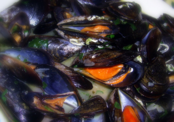 [moules-VB.JPG]