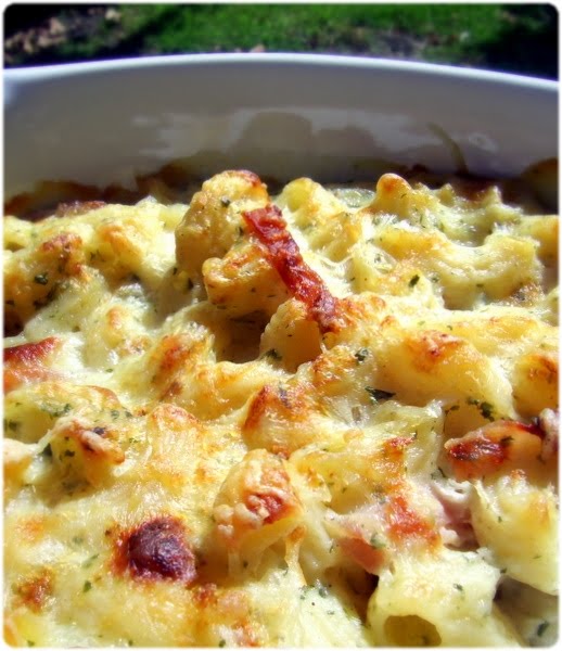 [macncheese.JPG]