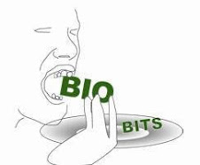 Biobits 1