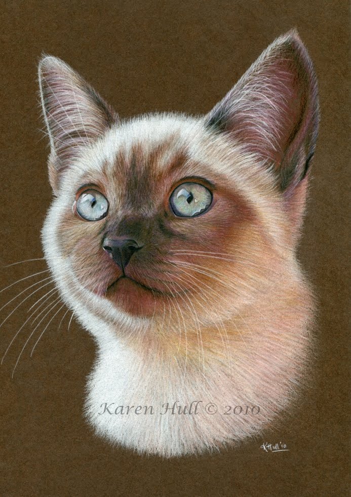 Karen Hull Art Step by step Tutorial cat portrait