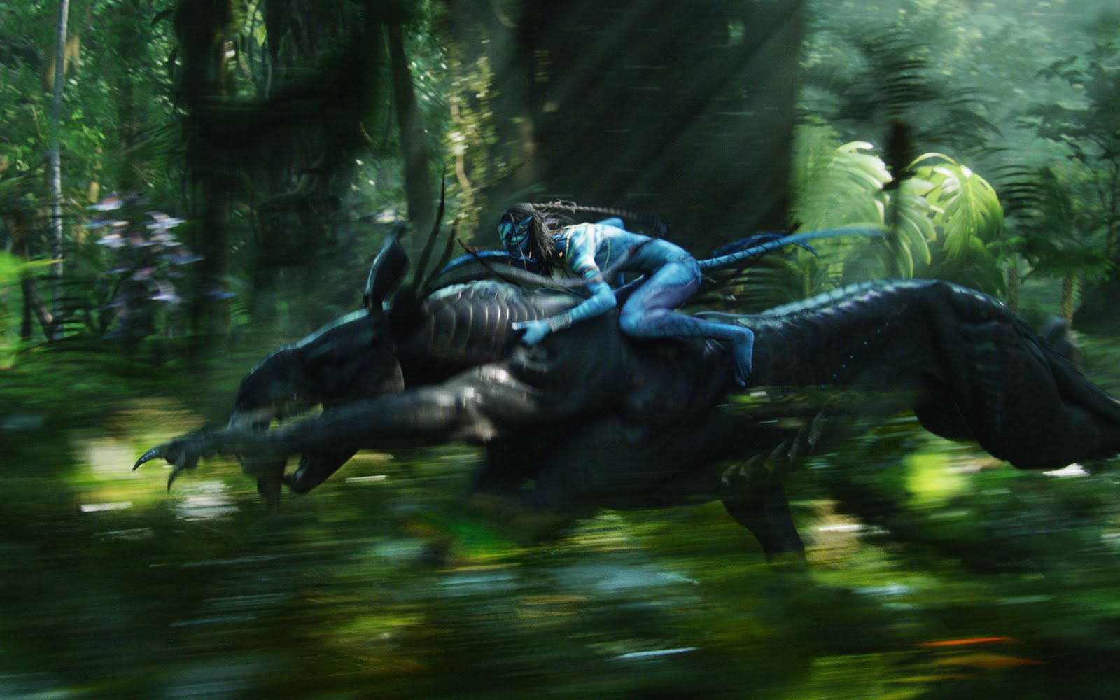 http://2.bp.blogspot.com/_rQMq1b0XzMQ/S2cykk76xlI/AAAAAAAAN9Q/8jEPvluckWY/S1600-R/navi_warrior_on_thanator_in_avatar-wide.jpg
