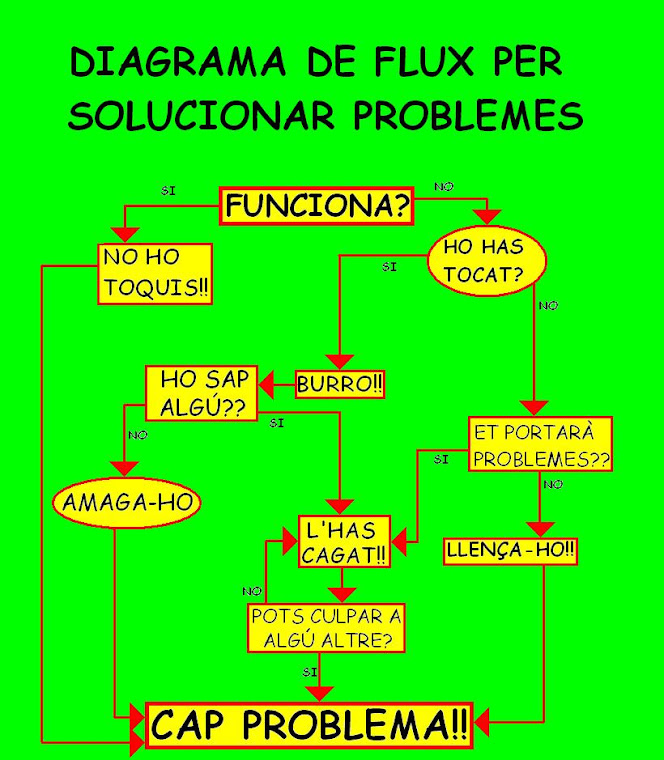 DIAGRAMA DE FLUX PER A SOLUCIONAR PROBLEMES.
