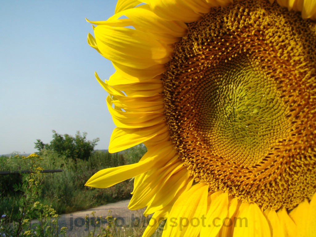 [DSC00162.JPG]