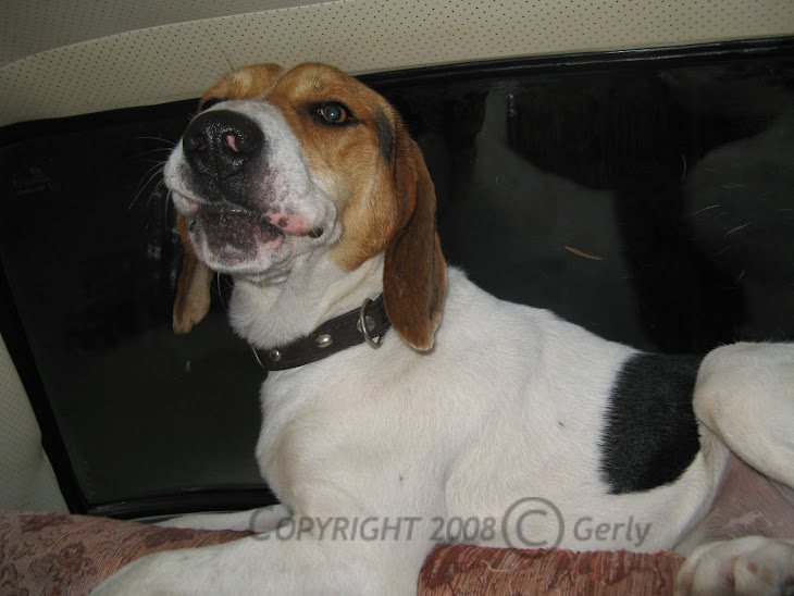 Copyrighty tegemine oma pildile