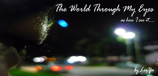 The World Through My Eyes