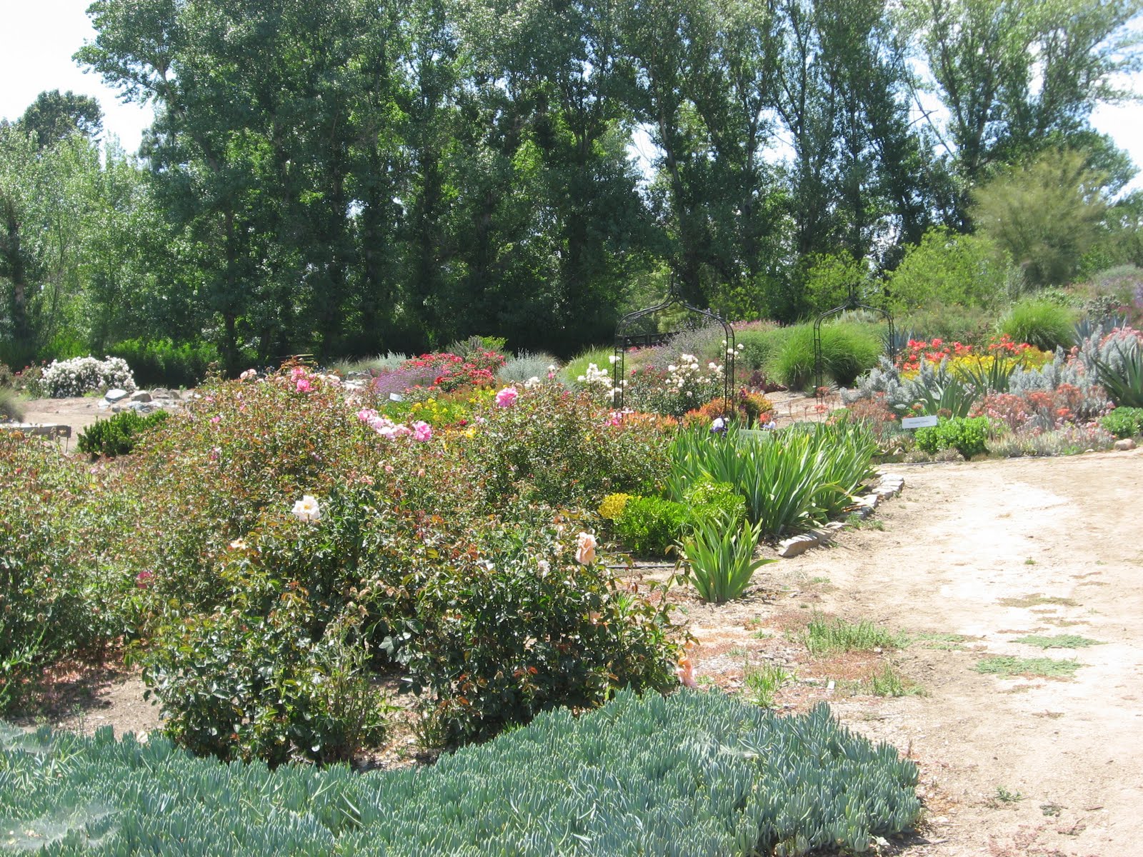Daily Temecula: Off the Beaten Path: Temecula's Rose Haven Heritage Garden