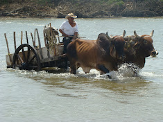 El estero