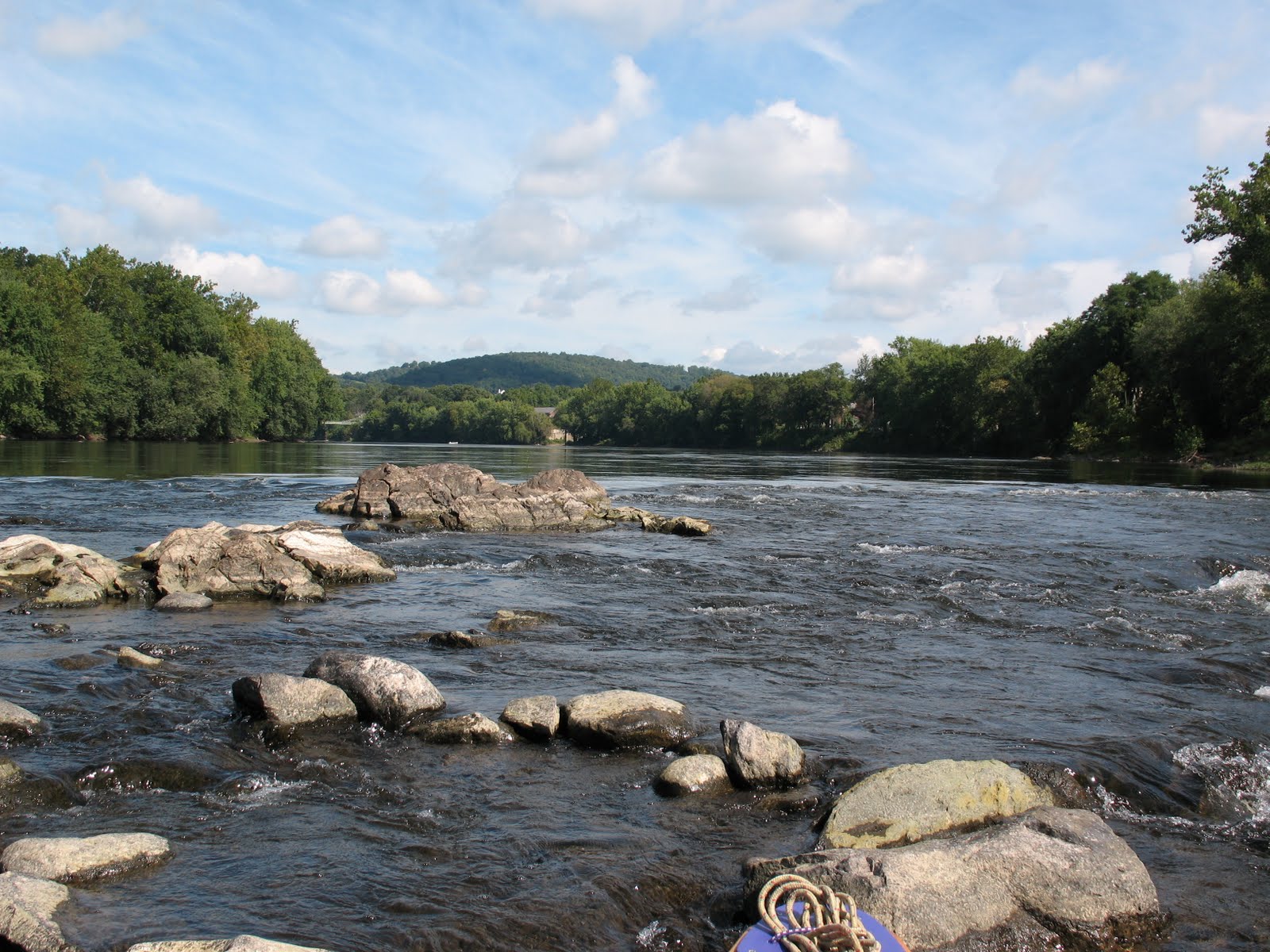 Delaware River Journal: May 2010