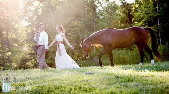 horse in wedding images