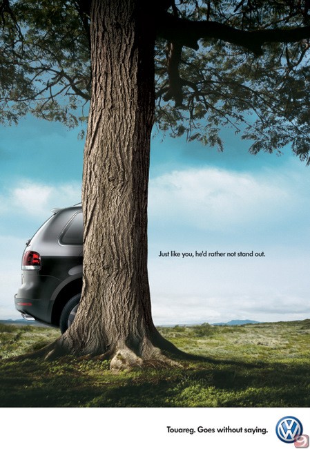 [Volkswagen-Touareg_Tree.jpg]
