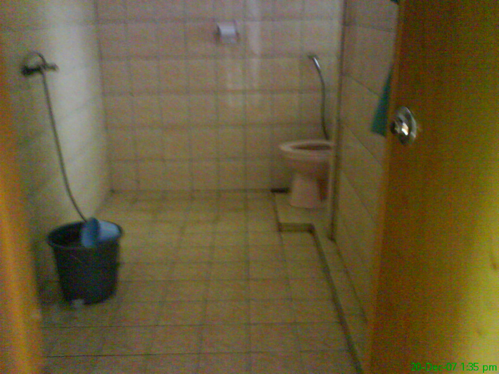 [house+1-toilet.JPG]