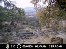 Vista de la UMA desde lo alto de la serrranía