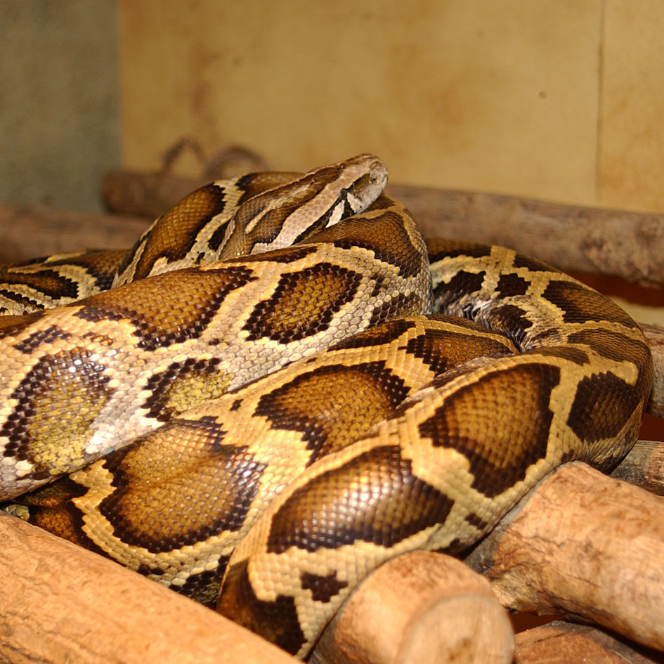 [Python_molure_13.JPG]