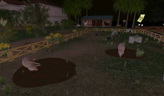 Second life animals - pig