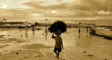 seaweed farming Lembongan