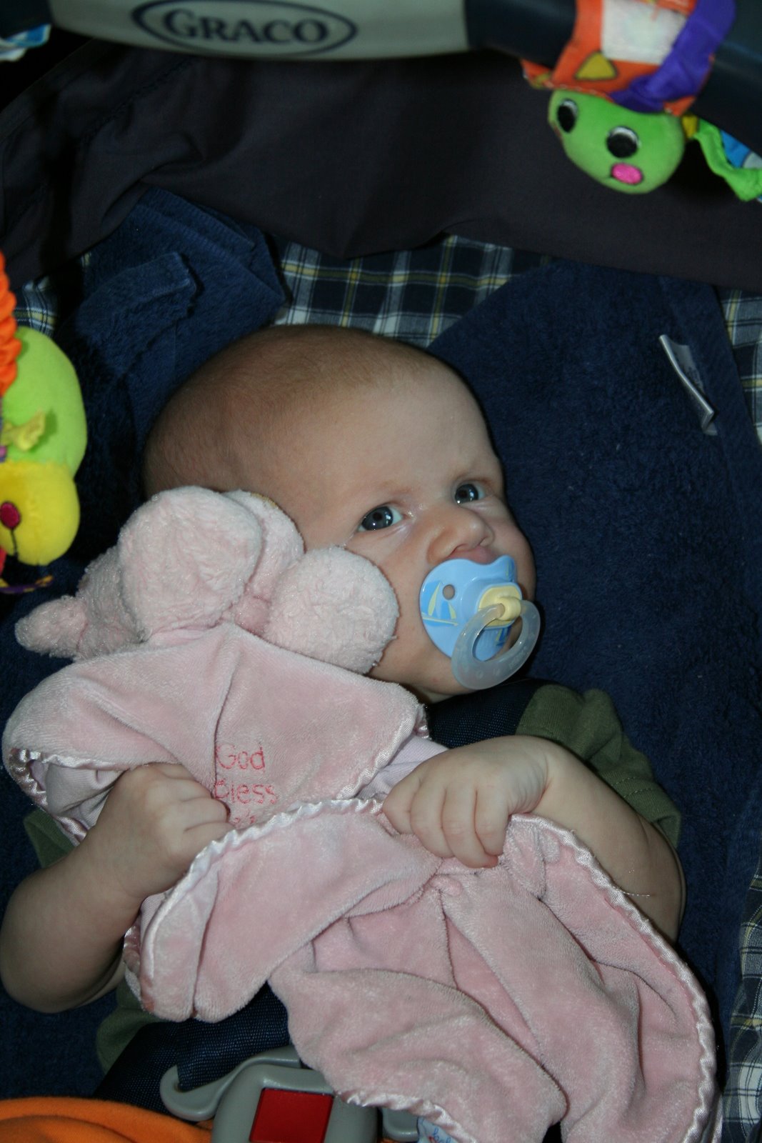[IMG_8118.JPG]