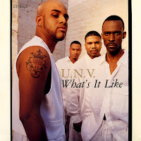 Cover Album of U.N.V. - What's It Like  (CDS) (1995)