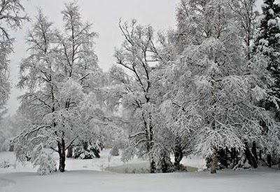 [e-Snowy-Day-in-April.jpg]