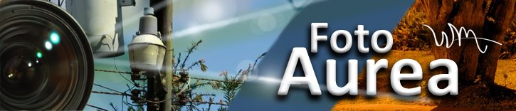 Foto Aurea