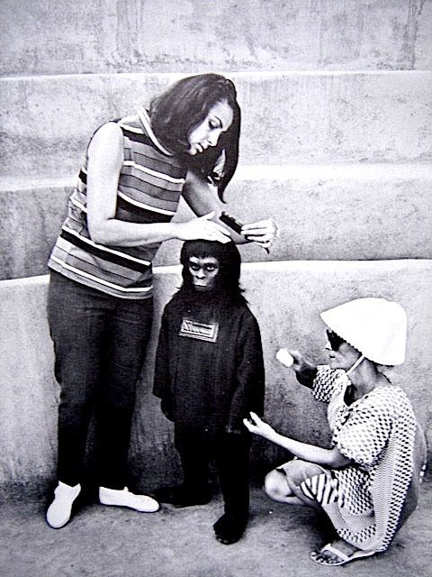 [ape39.JPG]